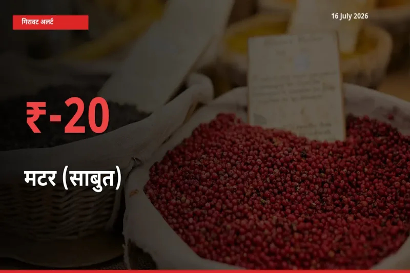 बाज़ार संकेत: मटर (साबुत) के भाव मंडी में 20.05% नीचे