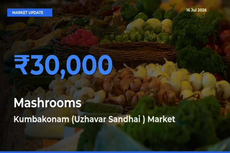 Kumbakonam (Uzhavar Sandhai ) Tops Mashrooms Mandi Rates Today