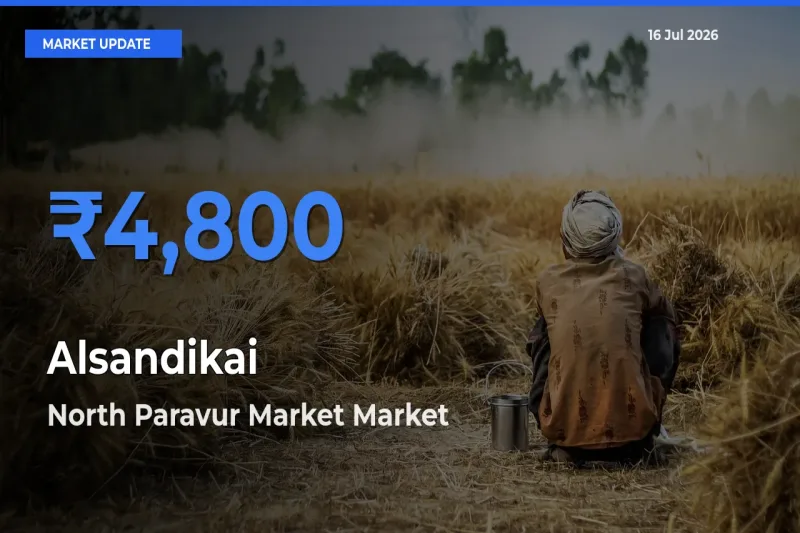 North Paravur Market Tops Alsandikai Rates – July 16 Market Update