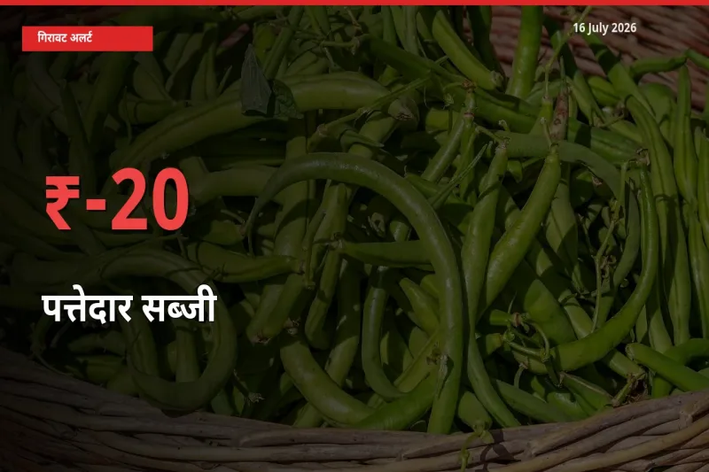 बाज़ार संकेत: पत्तेदार सब्जी के भाव मंडी में 20% नीचे