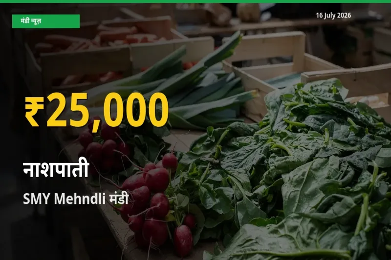 आज का मंडी भाव: SMY Mehndli में नाशपाती सबसे ऊँचे स्तर पर