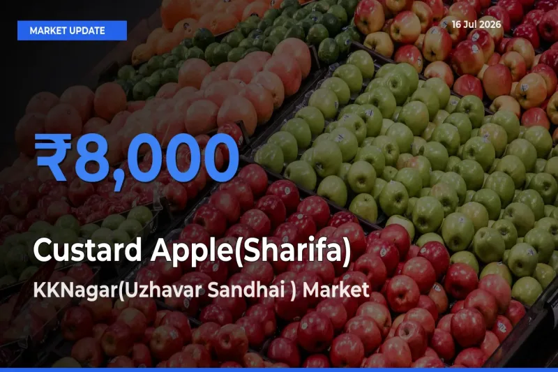 KKNagar(Uzhavar Sandhai ) Tops Custard Apple(Sharifa) Rates – July 16 Market Update