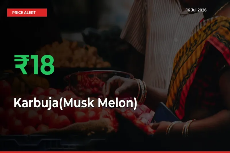Sudden 17.69% Rally in Karbuja(Musk Melon) Prices Across Mandis