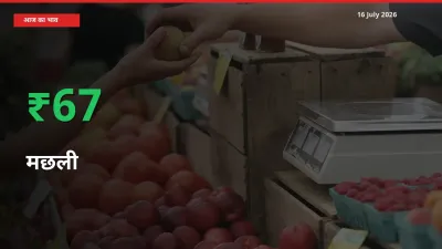 तेज़ तेजी! मंडी में मछली के दाम 67.08% चढ़े