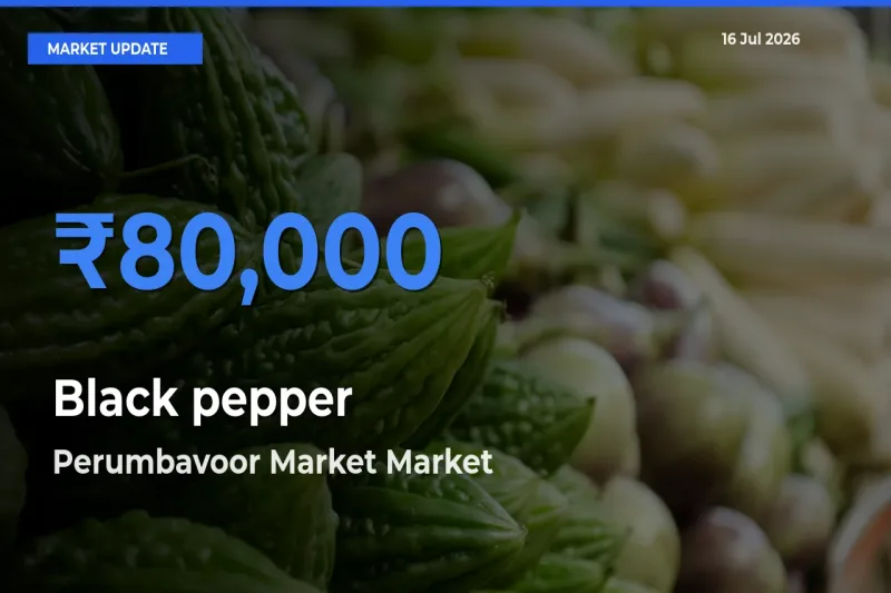 Perumbavoor Market Leads as Top Mandi for Black pepper Prices