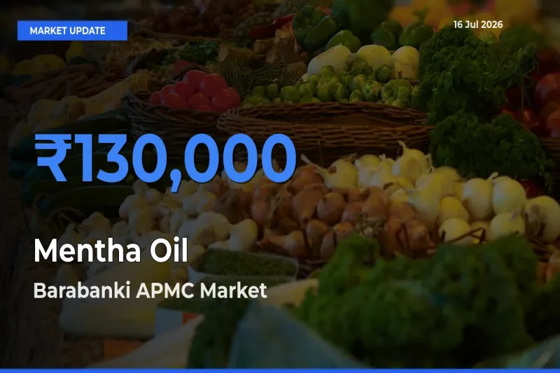 Barabanki APMC Records Highest ₹130,000 Rate for Mentha Oil