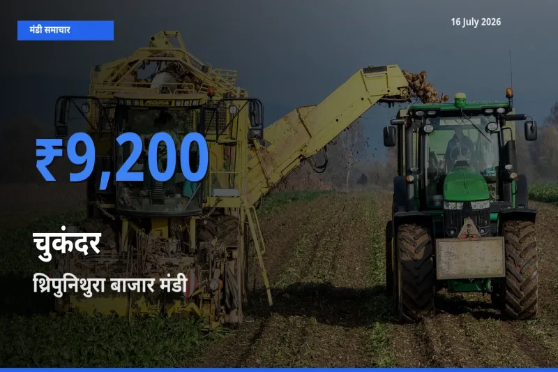 किसानों की पसंद बना थ्रिपुनिथुरा बाजार, चुकंदर के सबसे अच्छे दाम