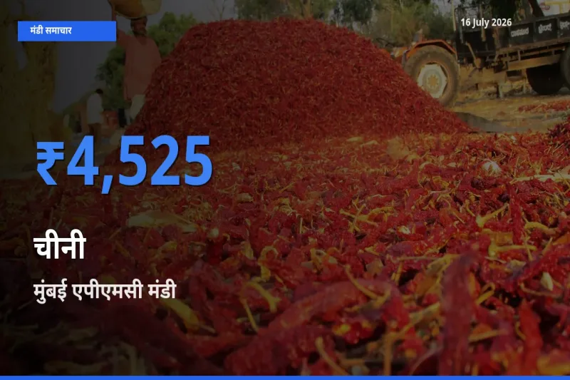 आज चीनी के सबसे ऊँचे दाम ₹4,525 मुंबई एपीएमसी मंडी में
