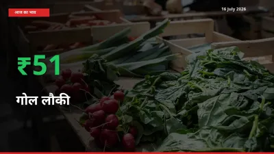 स्थानीय मंडी में गोल लौकी के दाम अचानक 50.62% उछले, किसान सतर्क