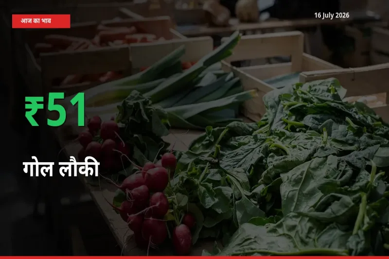 स्थानीय मंडी में गोल लौकी के दाम अचानक 50.62% उछले, किसान सतर्क