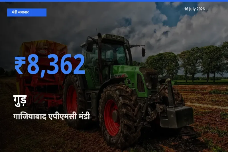 16 July अपडेट: गुड़ के सबसे ऊँचे दाम गाजियाबाद एपीएमसी मंडी में