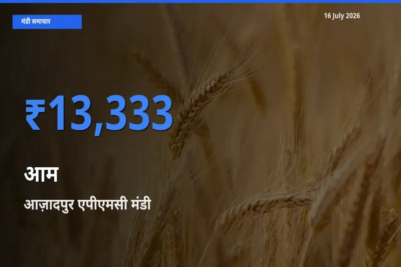 किसानों की पसंद बना आज़ादपुर एपीएमसी, आम के सबसे अच्छे दाम