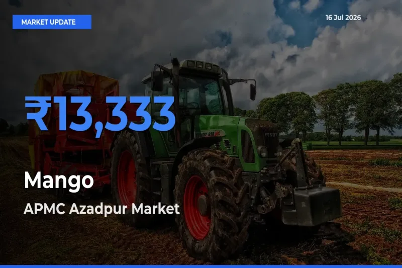 APMC Azadpur Records Highest ₹13,333 Rate for Mango