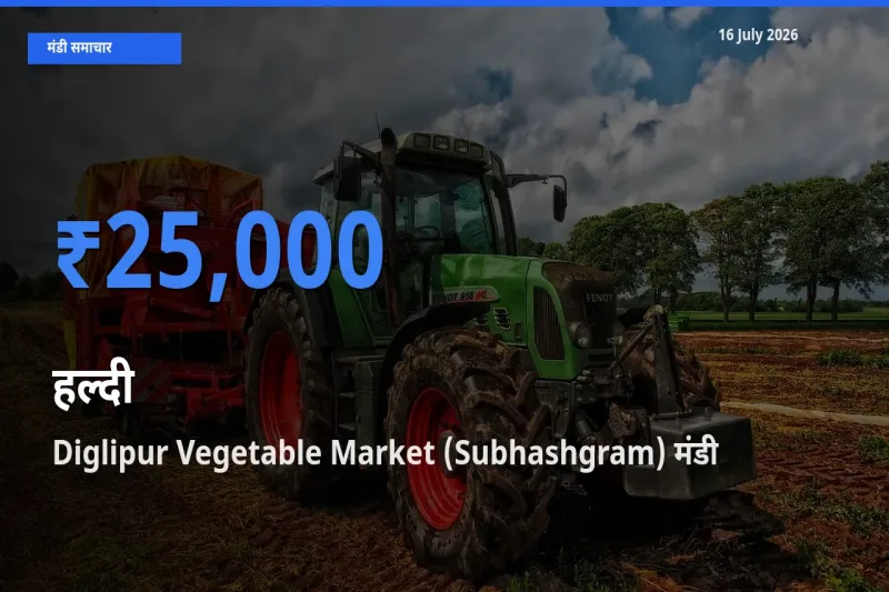 आज का मंडी भाव: हल्दी के सबसे ज़्यादा दाम Diglipur Vegetable Market (Subhashgram) में