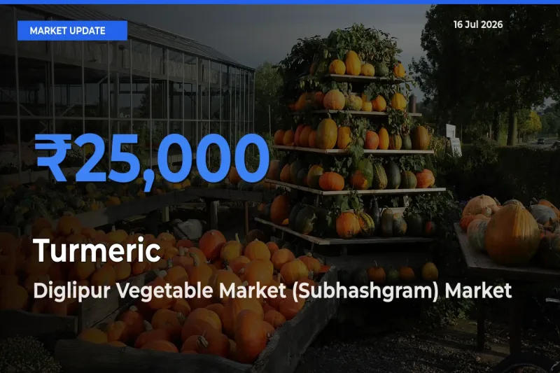 Top Performer! Diglipur Vegetable Market (Subhashgram) Offers Best Turmeric Price Today