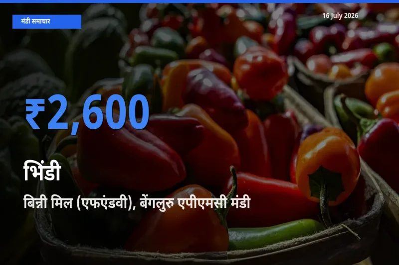 आज का मंडी भाव: भिंडी के सबसे ज़्यादा दाम बिन्नी मिल (एफएंडवी), बेंगलुरु एपीएमसी में