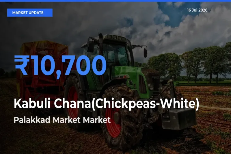 Farmers Prefer Palakkad Market as Kabuli Chana(Chickpeas-White) Hits Highest Rate