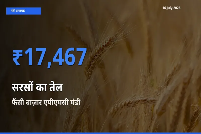 किसानों की पसंद बना फैंसी बाज़ार एपीएमसी, सरसों का तेल के सबसे अच्छे दाम