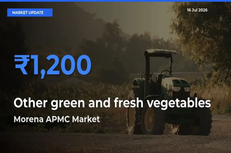 Morena APMC Offers ₹1,200 – Highest Other green and fresh vegetables Rate Today
