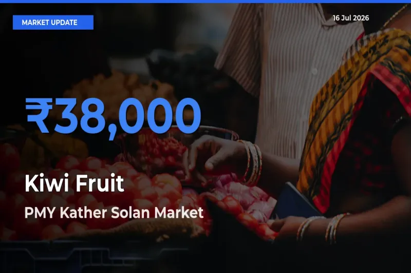 PMY Kather Solan Offers ₹38,000 – Highest Kiwi Fruit Rate Today