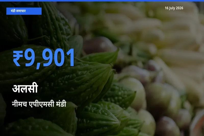 आज अलसी के सबसे ज़्यादा दाम नीमच एपीएमसी मंडी में दर्ज