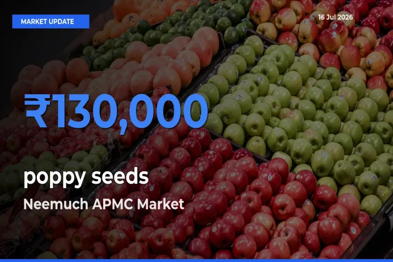 Top Performer! Neemuch APMC Offers Best poppy seeds Price Today