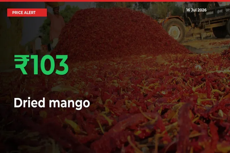 Dried mango Rises 103.28% at Mandis