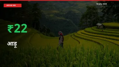 बाज़ार संकेत: आड़ू के भाव मंडी में 21.84% ऊपर