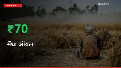 अचानक तेजी! मंडी में मेंथा ऑयल के दाम 69.87% चढ़े