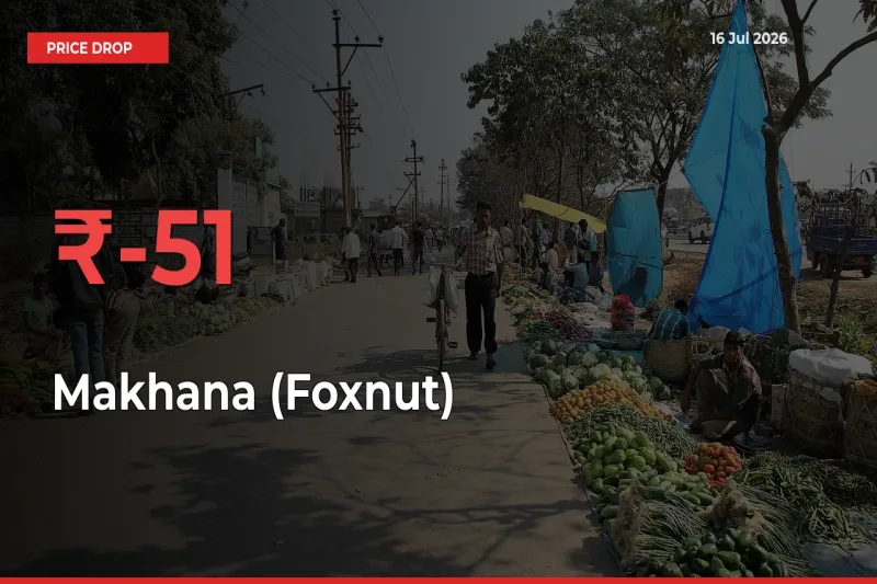 Sudden Shock! Makhana (Foxnut) Drops 50.57% in 24 Hours at Top Mandis