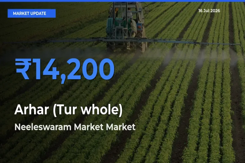 Neeleswaram Market Tops Arhar (Tur whole) Rates – July 16 Market Update