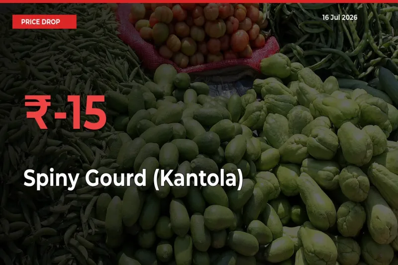 Why Spiny Gourd (Kantola) Prices Fell 15.4% in a Day at Mandis