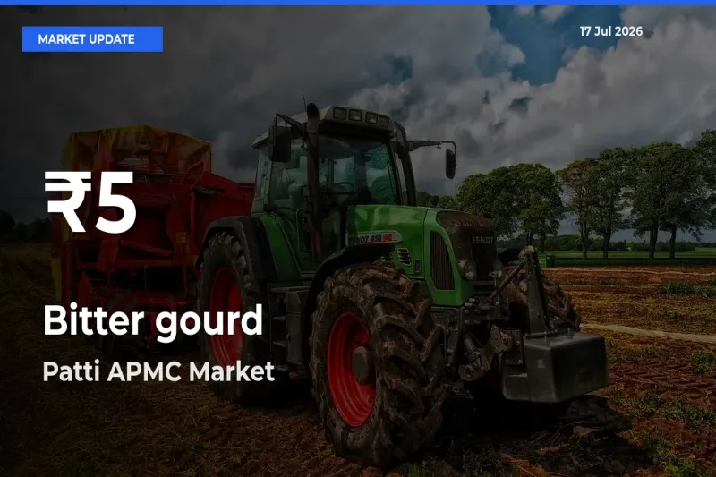 Bitter gourd Prices Touch 30-Day Low in Patti APMC – July 17 Update
