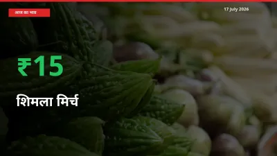 शिमला मिर्च 15.4% उछला, मंडी