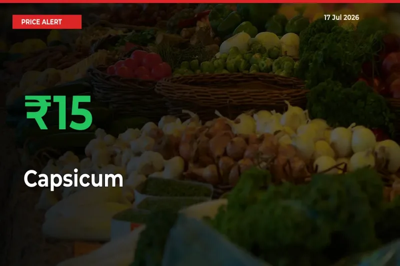 Farmers Cheer as Capsicum Prices Surge 15.4% in Local Mandis