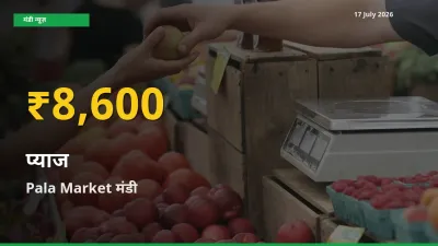 प्याज के दामों में रिकॉर्ड तेज़ी, Pala Market