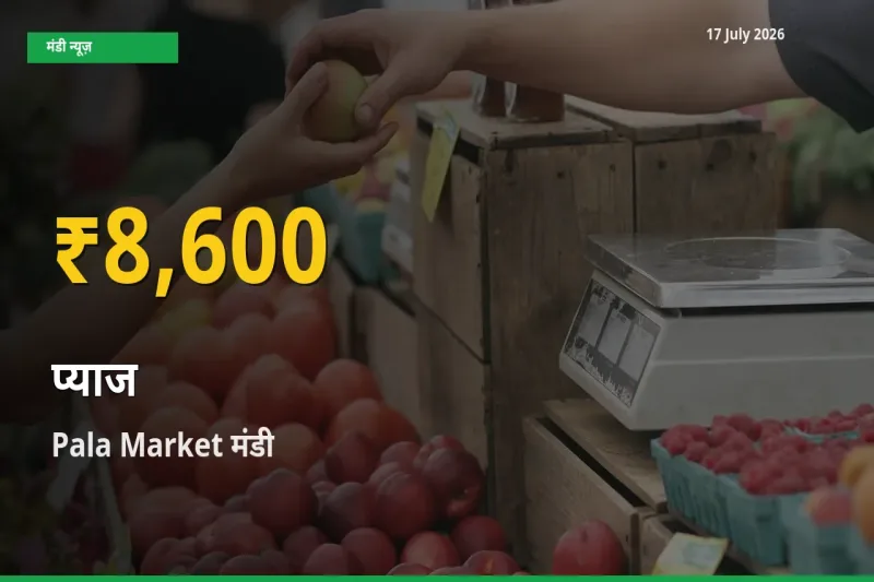 प्याज के दामों में रिकॉर्ड तेज़ी, Pala Market