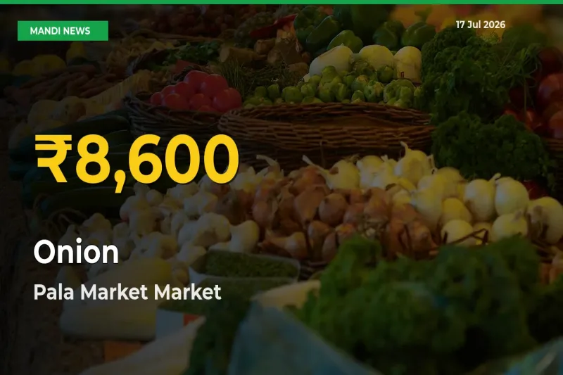 Onion Price Hits New High in Pala Market Today – Check Latest Mandi Rates