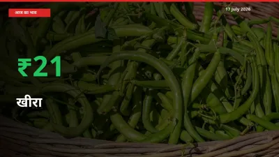 स्थानीय मंडी में खीरा के दाम अचानक 21.48% उछले, किसान सतर्क