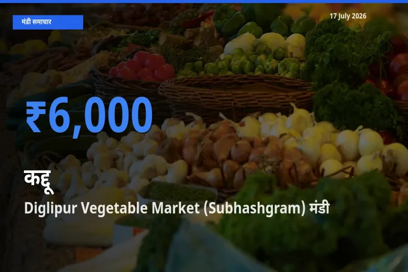 Diglipur Vegetable Market (Subhashgram) में कद्दू का आज सबसे ऊँचा भाव