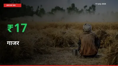 गाजर के दाम प्रमुख मंडी में 16.78% बढ़े, 24 घंटे में बड़ा बदलाव