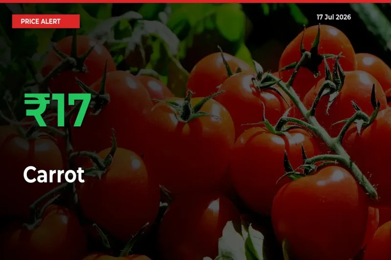 Why Carrot Prices Rose 16.78% in a Day at Mandis