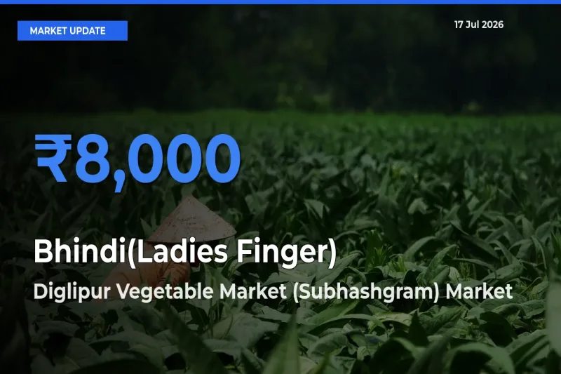 Market Watch: Diglipur Vegetable Market (Subhashgram) Becomes Top Mandi for Bhindi(Ladies Finger)