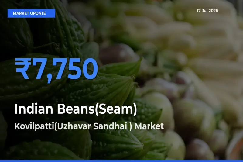 Kovilpatti(Uzhavar Sandhai ) Tops Indian Beans(Seam) Rates – July 17 Market Update