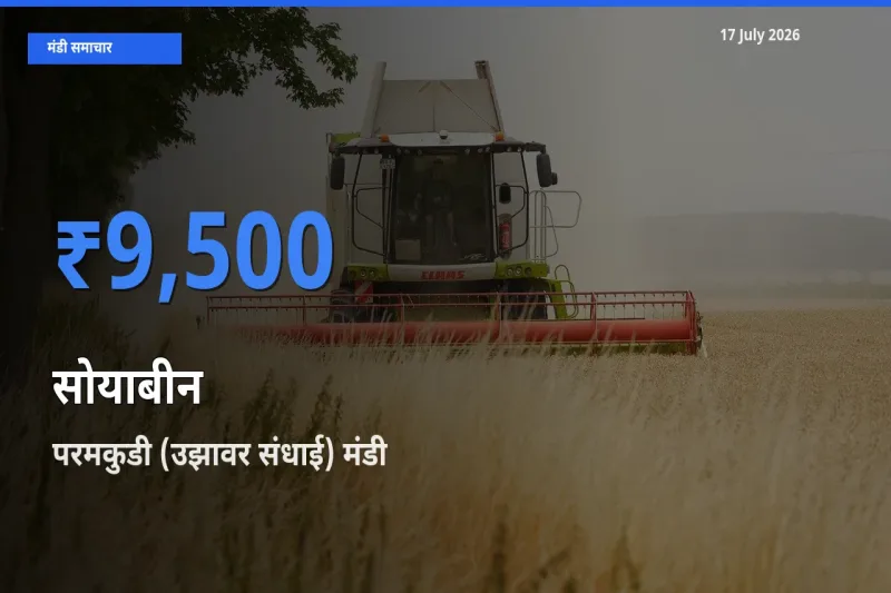 टॉप मंडी बना परमकुडी (उझावर संधाई)! सोयाबीन के सबसे ऊँचे दाम यहीं दर्ज