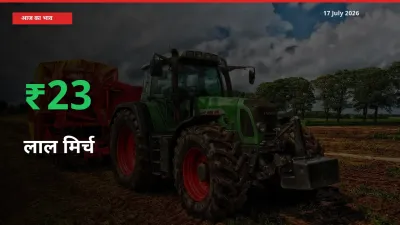 बाज़ार संकेत: लाल मिर्च के भाव मंडी में 23.42% ऊपर