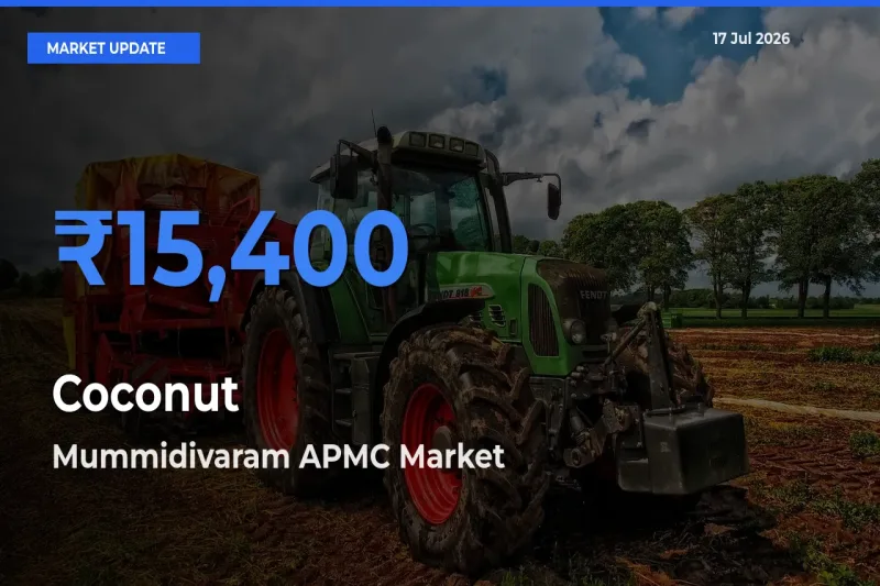 Mummidivaram APMC Tops Coconut Rates – July 17 Market Update