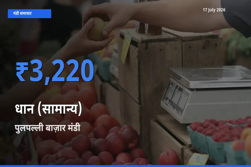 17 July अपडेट: धान (सामान्य) के सबसे ऊँचे दाम पुलपल्ली बाज़ार मंडी में
