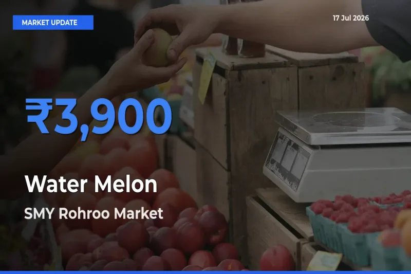 SMY Rohroo Records Highest ₹3,900 Rate for Water Melon
