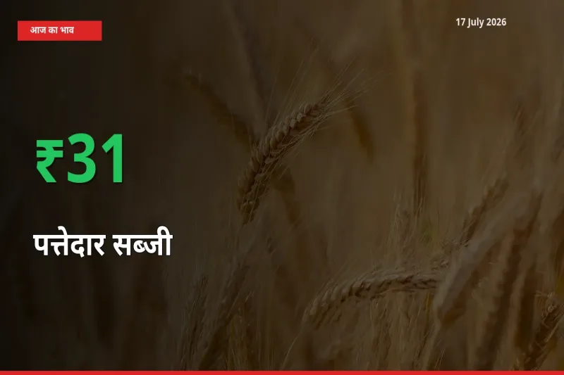 17 July अपडेट: पत्तेदार सब्जी के दाम मंडी में 30.67% उछले